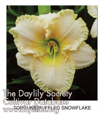 Topguns Ruffled Snowflake AHS image
