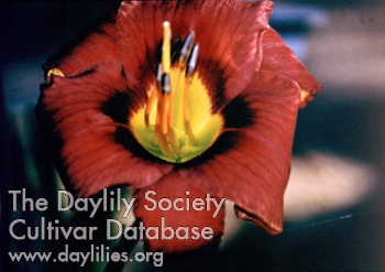 Bubba's Seminole Secret AHS image