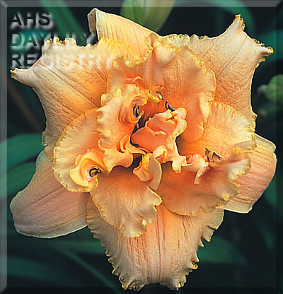 Windborne AHS image