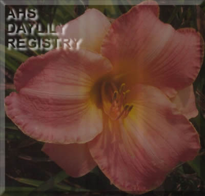 Wistful Thinking AHS image