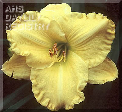 Yukon Spring AHS image