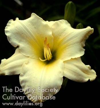 Appalachian Spring AHS image