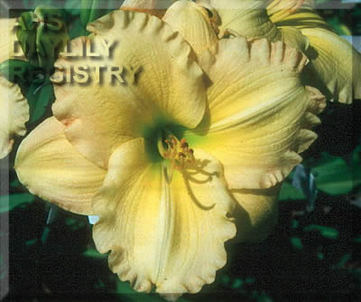 Beauty to Behold AHS image