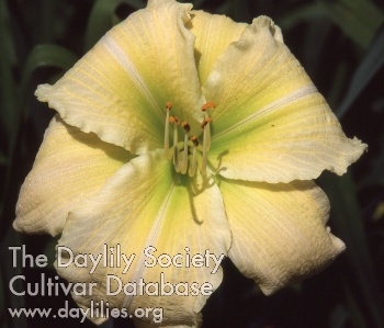 Bobalu AHS image