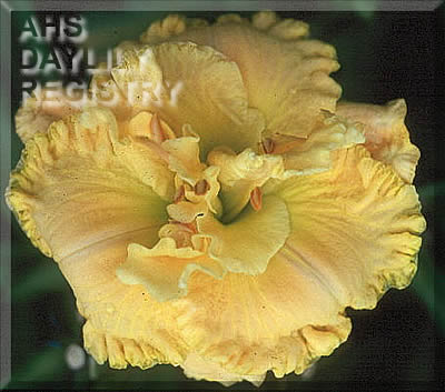 Choir Master AHS image