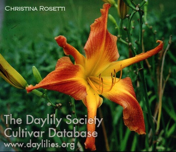 Christina Rosetti