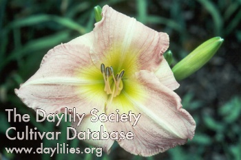 Cloverdale AHS image