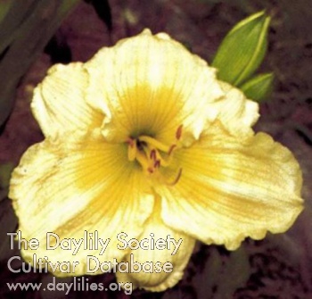 Colonel Whatley AHS image