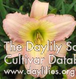 County Down AHS image