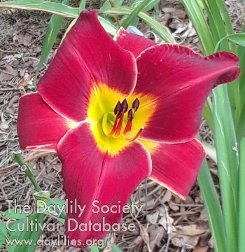 Doc Weems AHS image