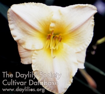 Doryt Moss AHS image