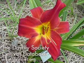Douglas Dale AHS image