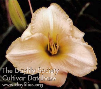 Dunedrift AHS image