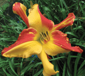 Explosion in the Paint Factory